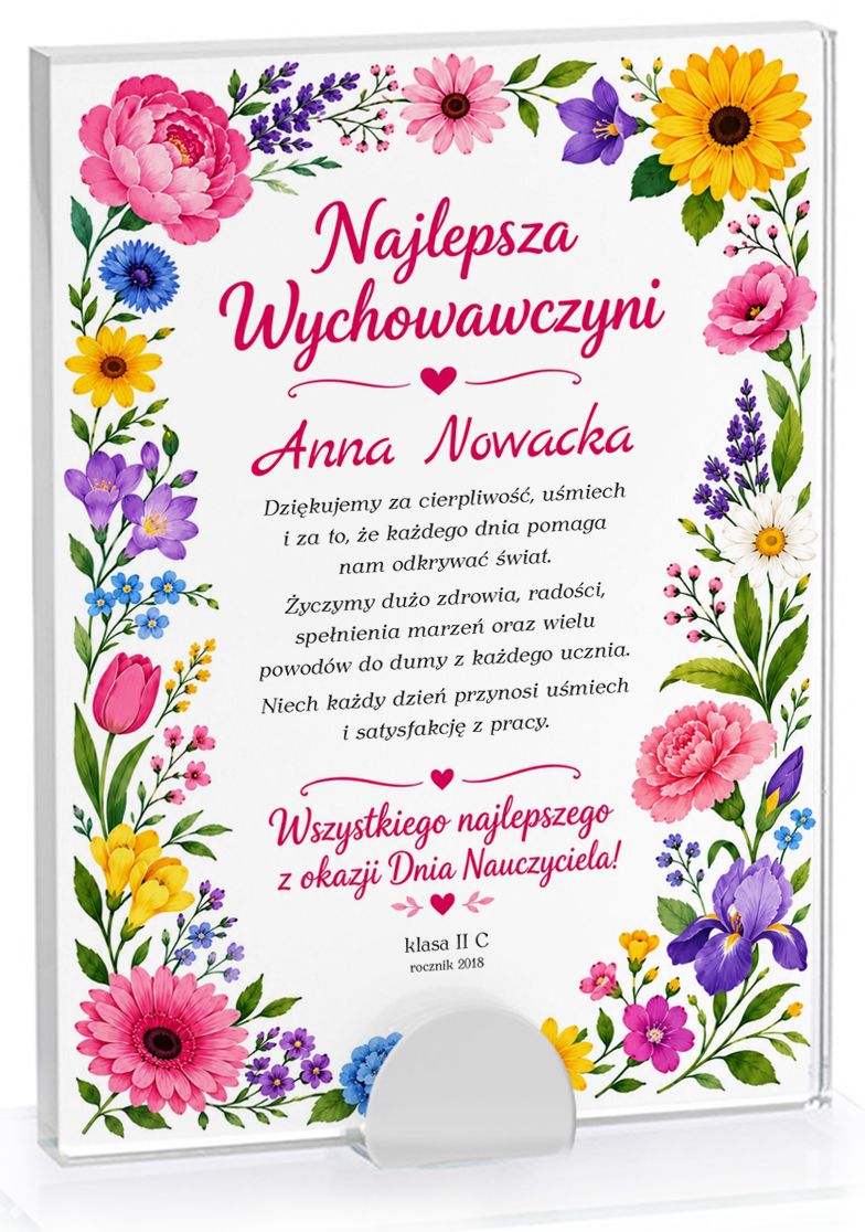 nauczyciel 801